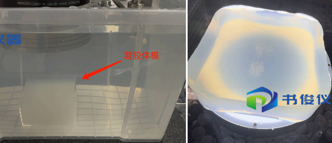 Histotripsy 组织摧毁术/空化机械消融应用方案